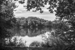 Lac de Chamboux bei Saulieu_Burgund/DFL7630 F [2025]