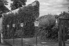 Phoeben_Havelland-8531_D [2021]