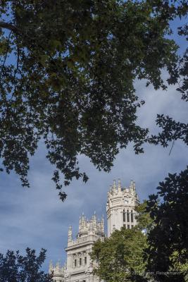 Madrid-6691
